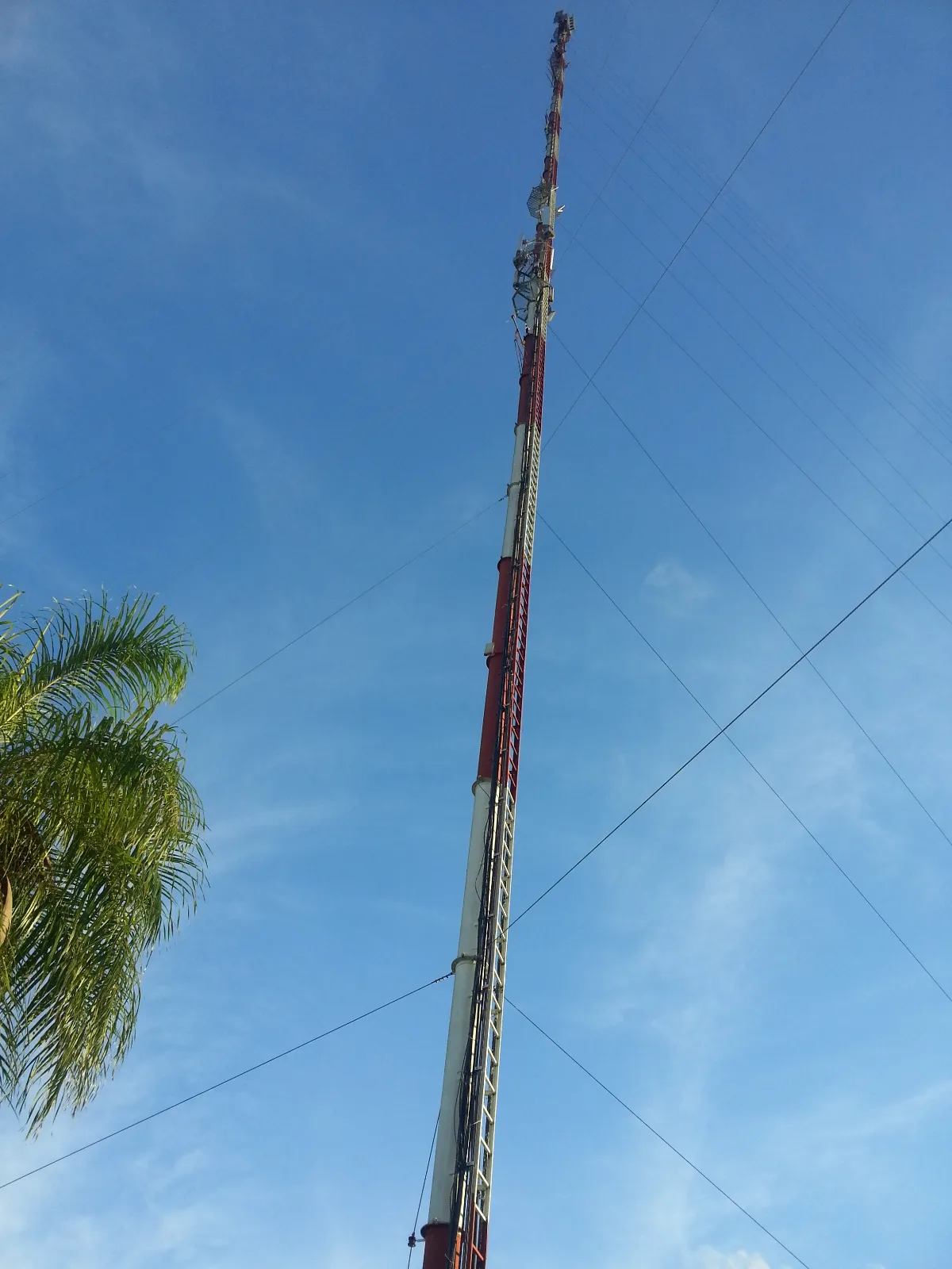 Torre Unitel 11